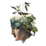 Arcadia Earth Museum discount code